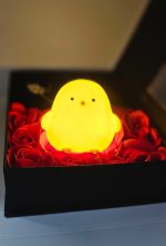 Bonding Package 1 – Yellow & White Chicken Cute Gift Box - Image 7