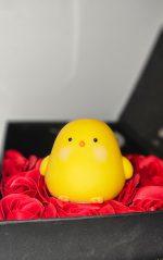 Yellow Chick Night Light Baby