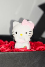 Bond of Friends – Chicken & Kitty Gift Box - Image 5