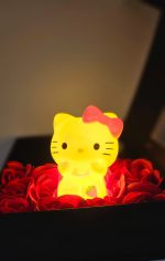 Couple Package 4 – Panda & Hello Kitty Gift Box - Image 5