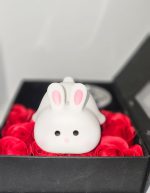 Rabbit Night Light Baby - Image 3