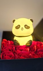 Couple Package 3 – Panda & Chicken Cute Combo Gift Box - Image 5