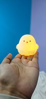 Chicken Glow Package – With King & Queen Bracelet - Image 4