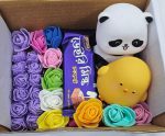 Couple Package 1 – Panda & Chicken Cute Combo Gift Box