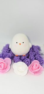 Couple Package 3 – Panda & Chicken Cute Combo Gift Box - Image 2